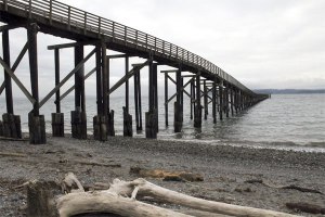 An assessment of the Indianola dock will determine what improvements need to be made. Creosoted pilings will need to be replaced. A property tax increase may be required in order to pay for the increase.