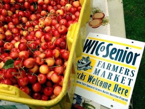 Important programs that can benefit food bank clients