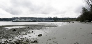 North Beach is a perfect spot for ferry watching.