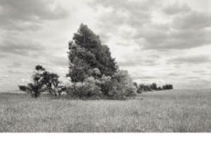 Tranquility in art can erase the stresses of campaign season.