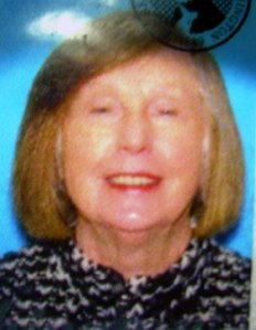 A ground area search was under way Saturday in and around the Driftwood Keys neighborhood in North Kitsap for a Elly Dehler
