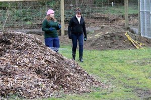 The Village Green P-Patch is one of several components of the Village Green complex. The P-Patch’s new training kiosk and garden shed opened June 15.