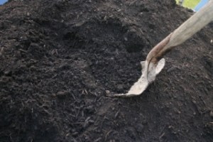 A truck load of Olympic Mountain Fish compost