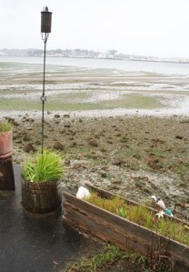 Annapolis resident Jean Opstrup found an explosive on the beach near her house along Sinclair Inlet.