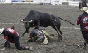 The bulls won the day at the ESPN-televised Xtreme Bulls last Sunday