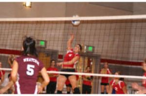 Lindsey Webel spikes the ball against Whatcom on Wednesday.