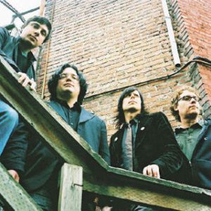 PICK A PACK OF SINGING POSIES