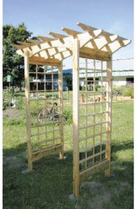 The beautiful arbor