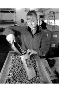 Sarah Schoenberg scoops bags of fresh roasted nuts at their processing facility near Kingston.