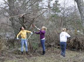 Central Kitsap High School students joined forces with the Clear Creek Task Force