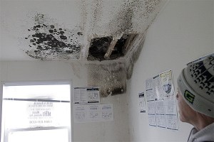 Peter Miele is replacing moldy sheetrock and insulation that had been exposed to the elements while the house sat on Golden Homes’ lot on Viking Avenue.