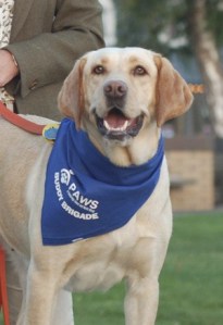 The face of a hero: AJ