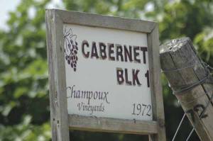 Chris Camarda is a partner in Champoux Vineyards in Horse Heaven Hills