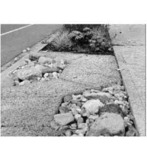 The streetscape along a portion of West Kingston Road features pervious concrete
