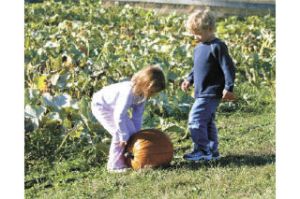 Zoe Williams and Ian Whitney pick out the perfect Halloween pumpkin at Sunrise Hill Farm.