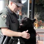 Kitsap County Sheriff&rsquo;s Office utilizes their K-9 units for tracking purposes.                                Michelle Beahm / Kitsap News Group