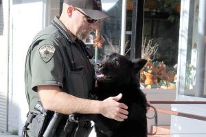 Kitsap County Sheriff&rsquo;s Office utilizes their K-9 units for tracking purposes.                                Michelle Beahm / Kitsap News Group
