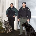 Grays Harbor Sheriff&rsquo;s Deputy Tracy Gay, left, with his K-9 partner Max, and Kitsap County Sheriff&rsquo;s Deputy Aaron Baker, right, with his K-9 partner Heiko, take a break from training on Nov. 15 at the Kitsap County Fairgrounds.                                Michelle Beahm / Kitsap News Group