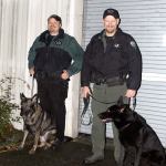 Grays Harbor Sheriff&rsquo;s Deputy Tracy Gay, left, with his K-9 partner Max, and Kitsap County Sheriff&rsquo;s Deputy Aaron Baker, right, with his K-9 partner Heiko, take a break from training on Nov. 15 at the Kitsap County Fairgrounds.                                Michelle Beahm / Kitsap News Group