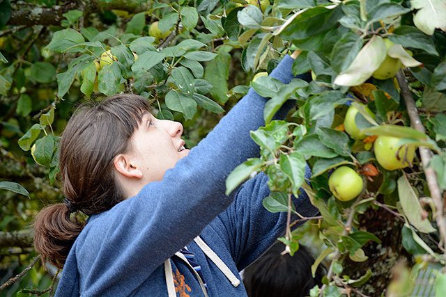 Kitsap Harvest prepares for Thanksgiving and beyond