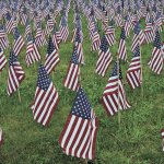 A field of flags for Veterans Day at Ivy Green Cemetery
