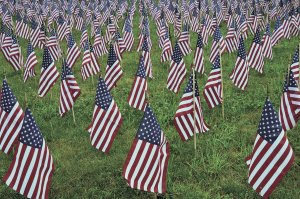 A field of flags for Veterans Day at Ivy Green Cemetery