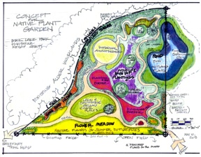 Return of the natives