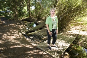 Fund raising begins for Centennial city park