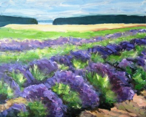 Dashing color into the darkness