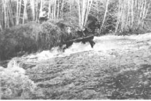 In 1931 Bill Shannon