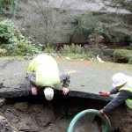 A water main break on Nov. 18 resulted in about 600,000 gallons of water being lost from various Silverdale Water District reservoirs. The water washed out the road bed at the site of the break, causing two sink holes within 200 feet of each other.                                Sid Williams / Silverdale Water District