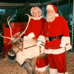Santa Dennis Simpson, right, with Mrs. Claus and a reindeer.                                Photo courtesy of Dennis Simpson