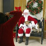 Mary Eklund, left, of Four Foot Photography photographs Santa Jeff Berger with a dog at Kitsap Humane Society&rsquo;s Santa Paws event Dec. 11.                                Michelle Beahm / Kitsap News Group