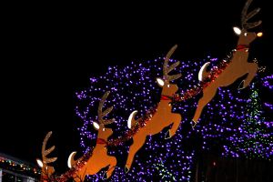 ‘Tis the season for holiday decorations