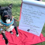 Dad the Dog finally gets his forever home