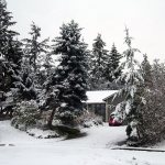 Wintry scene in Poulsbo Gardens, by Richard Walker
