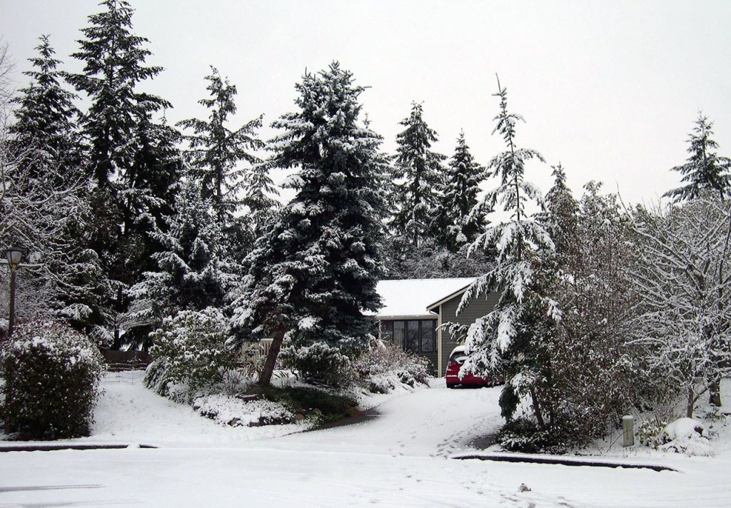 Wintry scene in Poulsbo Gardens, by Richard Walker