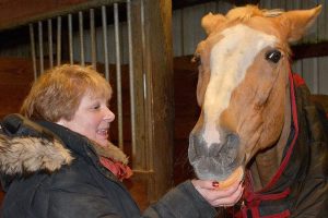 At Port Orchard’s Clover Valley Riding Center, this horse works for donuts