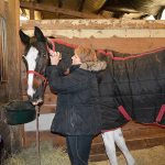 At Port Orchard’s Clover Valley Riding Center, this horse works for donuts