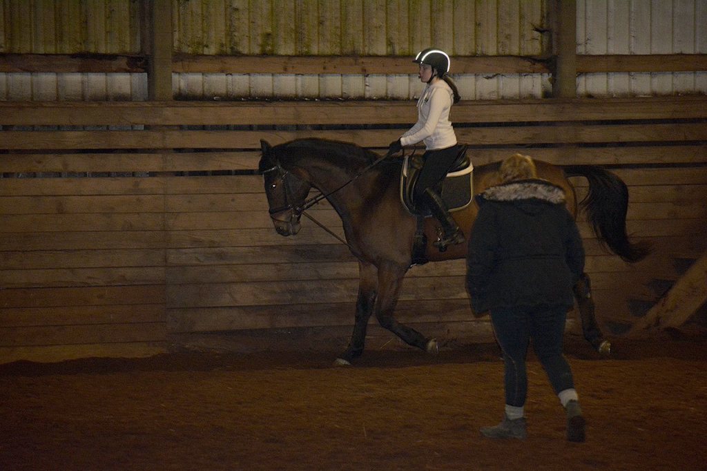 At Port Orchard’s Clover Valley Riding Center, this horse works for donuts