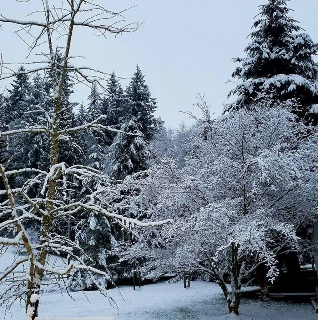 &ldquo;Snow near Scandia,&rdquo; by Jane Teller