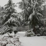 Photo by Christine Ives Duplissey