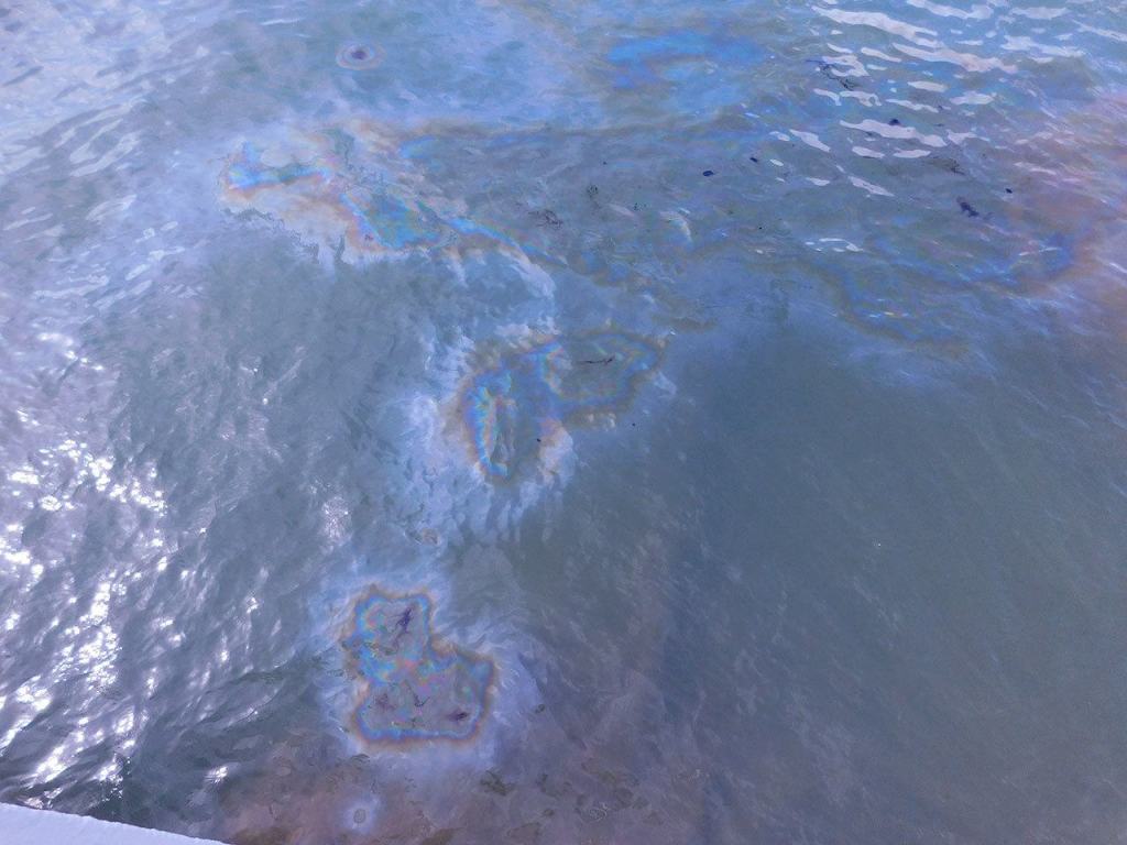 Dec. 4, 2016 | Dispatches from Pearl Harbor