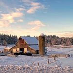 A brisk winter day at the Erickson farm on Hansville Road, November 2014. (Irvin Damm / Submitted)