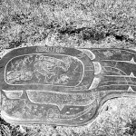 Tracking the Thunderbird