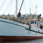 The fishing vessel Olympic met her end when she washed ashore in Appletree Cove. farmboat.org / Contributed