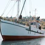 The fishing vessel Olympic met her end when she washed ashore in Appletree Cove. farmboat.org / Contributed