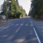 This is what the crosswalk looked like in October 2012, two months before Regina Monzon was struck by a vehicle there. (Google Maps/2012)