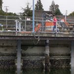 Little Anderson Parkway seawall undergoing repairs