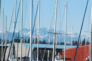 Rising in striking beauty after a rainy week